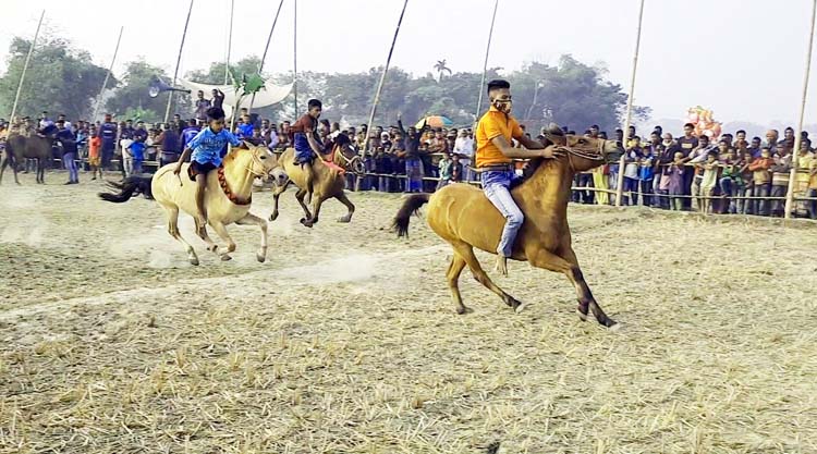 সুনামগঞ্জে মৌসুমী ঘোড়দৌড় প্রতিযোগিতা শুরু : দূর-দূরান্ত থেকে আসে ঘোড়া ও দর্শকরা