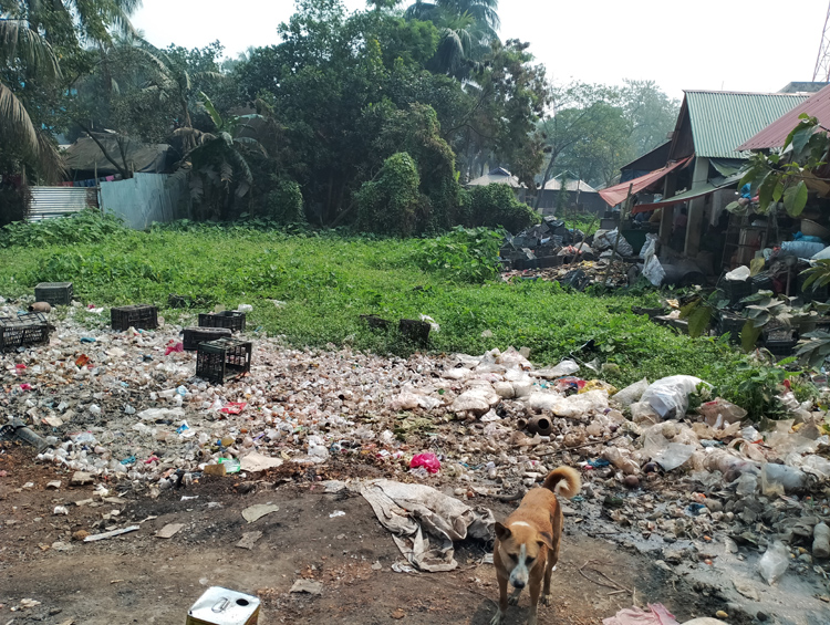 শাল্লার ঘুঙ্গিয়ারগাঁও বাজারের ময়লা আবর্জনার দুর্গন্ধে পরিবেশ দূষণ