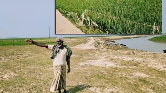 শাল্লায় বাঁধ না হওয়ায় ২হাজার হেক্টর বোরো ফসল ঝুঁকিতে 