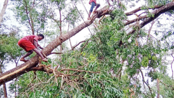 কমলগঞ্জে ঝড়ে বিধ্বস্ত অর্ধশতাধিক ঘর, বিপর্যস্ত বিদ্যুৎ ব্যবস্থা