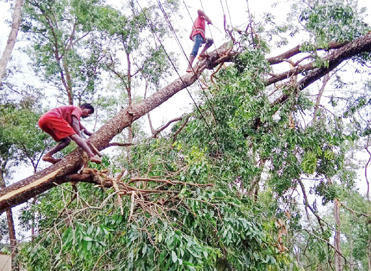 কমলগঞ্জে ঝড়ে বিধ্বস্ত অর্ধশতাধিক ঘর, বিপর্যস্ত বিদ্যুৎ ব্যবস্থা