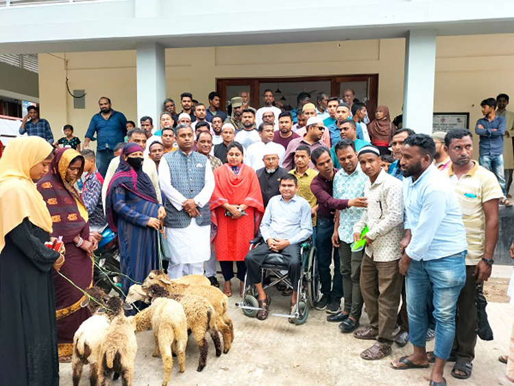 ফেঞ্চুগঞ্জে হাওরাঞ্চলে দুই শতাধিক পরিবারের মধ্যে ভেড়া বিতরণ