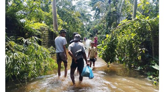 জগন্নাথপুরে বৃষ্টি থামলেও বেড়েছে ঢলের পানি