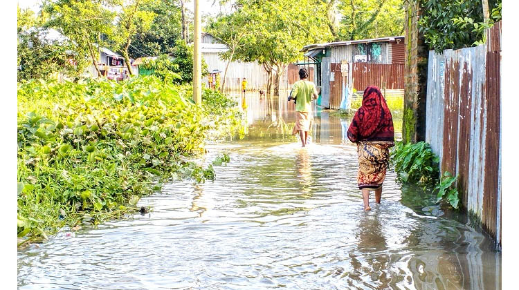 শান্তিগঞ্জে কমতে শুরু করেছে বন্যার পানি, বাড়ছে দুর্ভোগ