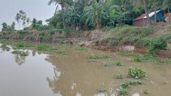 কালনী নদী শাল্লার জন্য কাল হয়ে দাঁড়িয়েছে