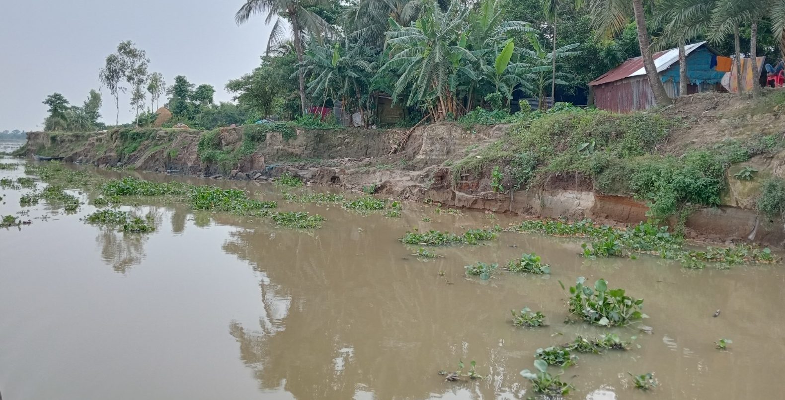 কালনী নদী শাল্লার জন্য কাল হয়ে দাঁড়িয়েছে
