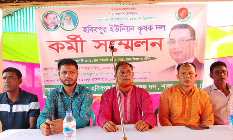 তারুণ্যের প্রথম ভোট ধানের শীষের পক্ষে হউক : শাল্লায় কৃষক দলের সমাবেশে একরামুল হোসেন